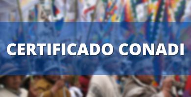 Certificado CONADI - Chile 1 Certificado conadi descargar