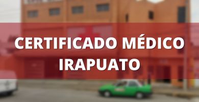 Certificado cruz roja irapuato costo