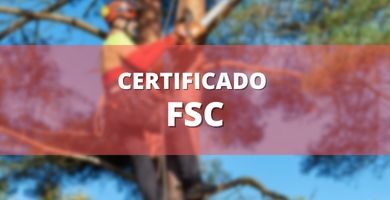 Certificado FSC - México 1 Certificado fsc online mexico
