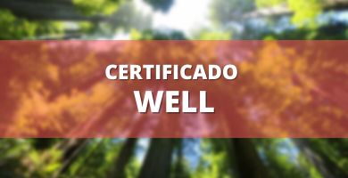 Certificado WELL - México 1 Certificado well descargar