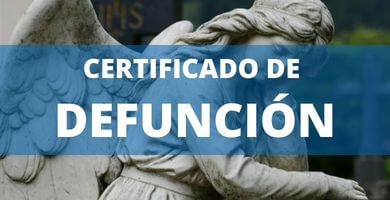 Certificado de Defunción - Chile 1 certificado de defuncion online